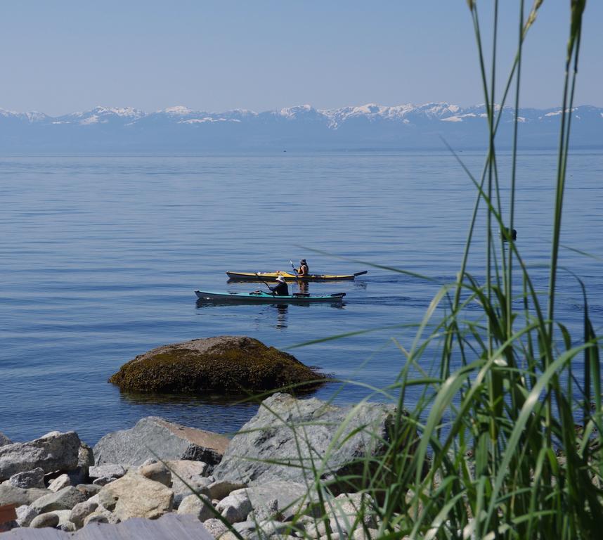 Blitz Beach House Oceanside Suite Powell River Eksteriør billede