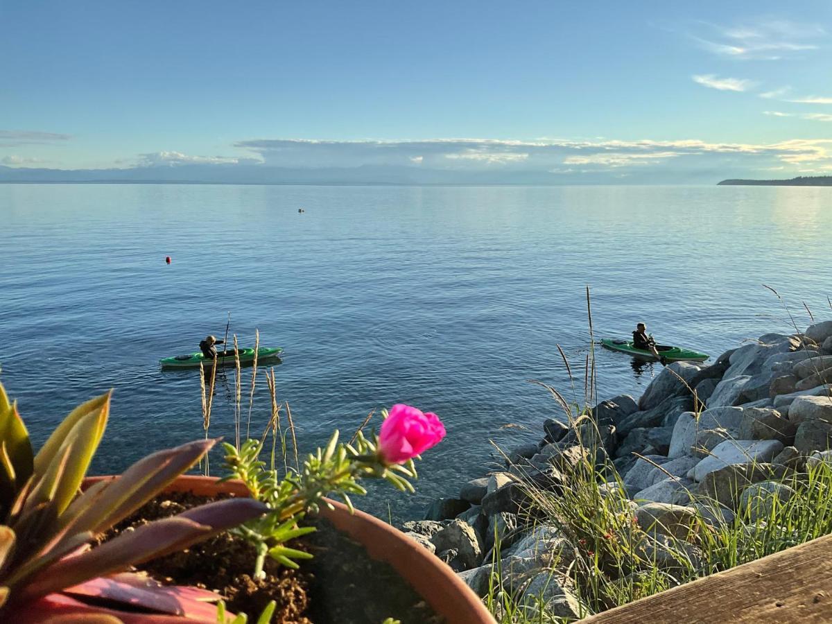Blitz Beach House Oceanside Suite Powell River Eksteriør billede
