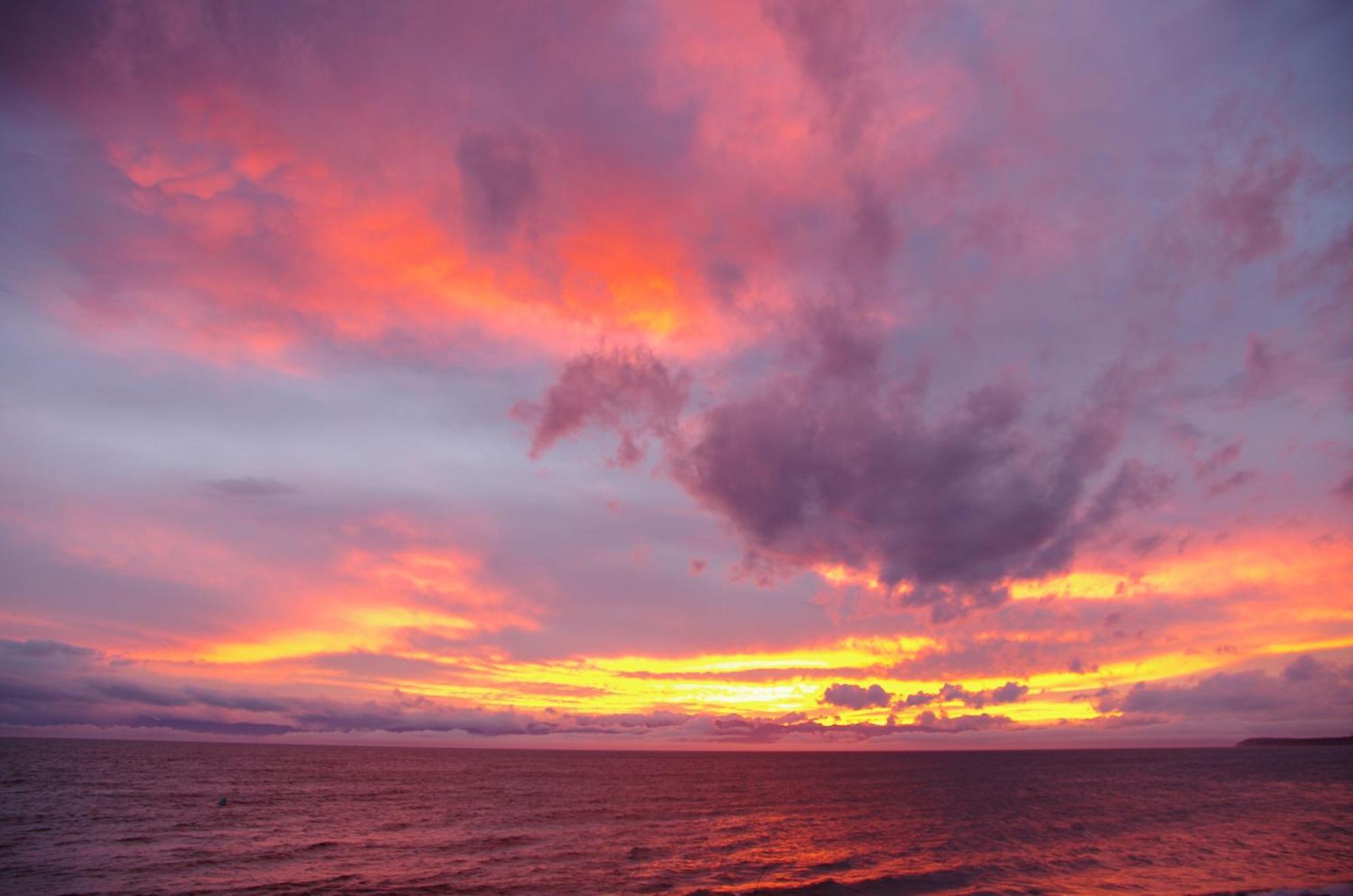 Blitz Beach House Oceanside Suite Powell River Eksteriør billede