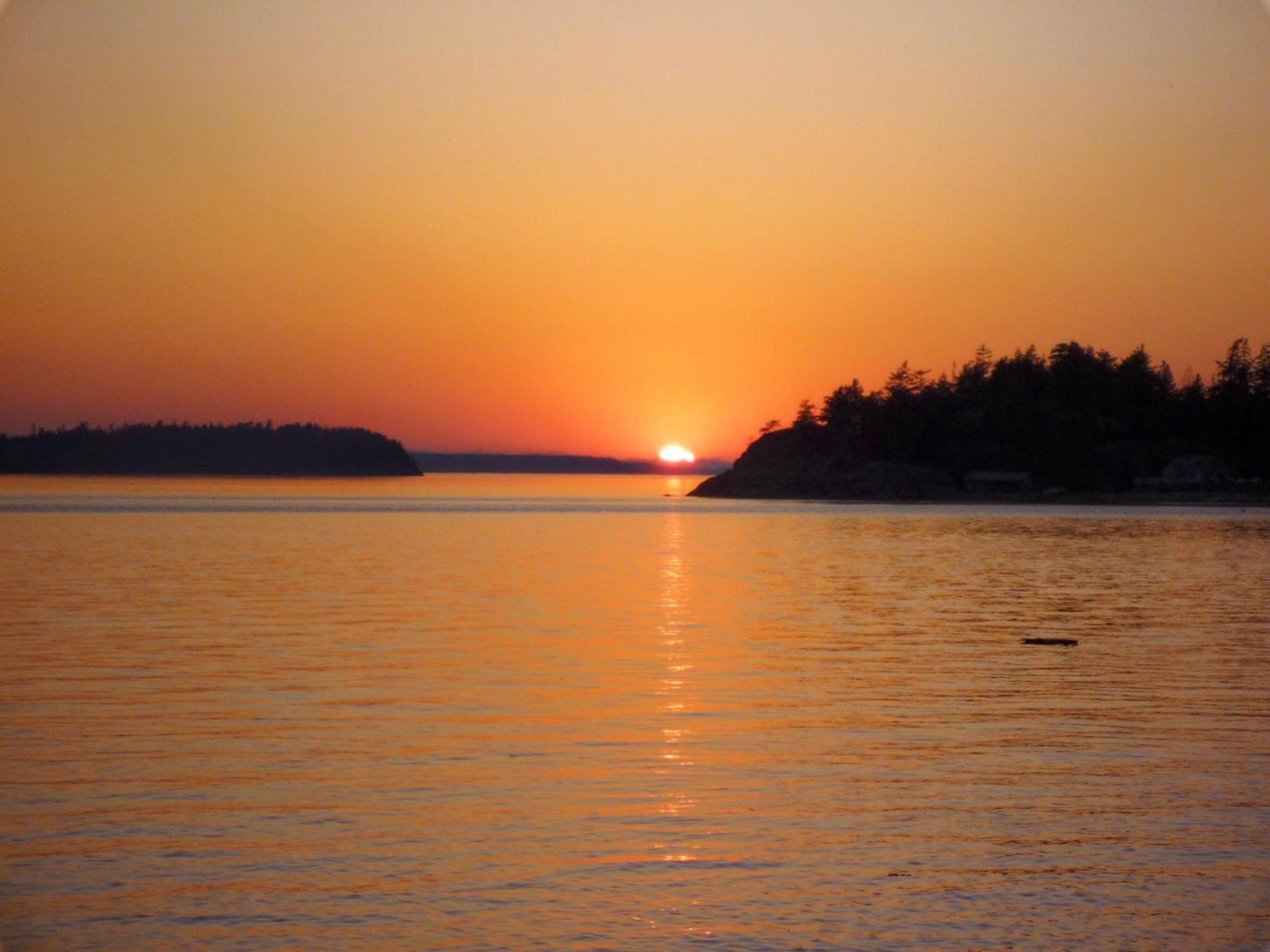 Blitz Beach House Oceanside Suite Powell River Eksteriør billede