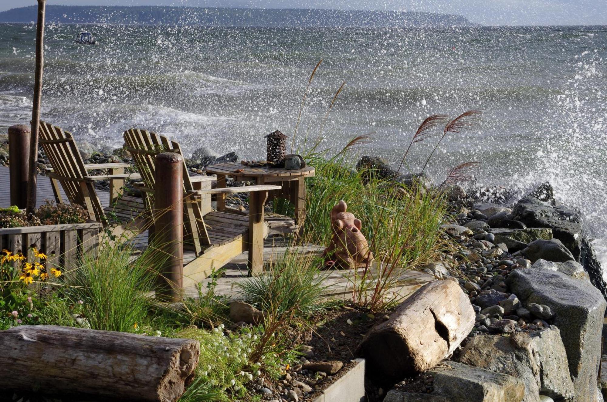 Blitz Beach House Oceanside Suite Powell River Eksteriør billede