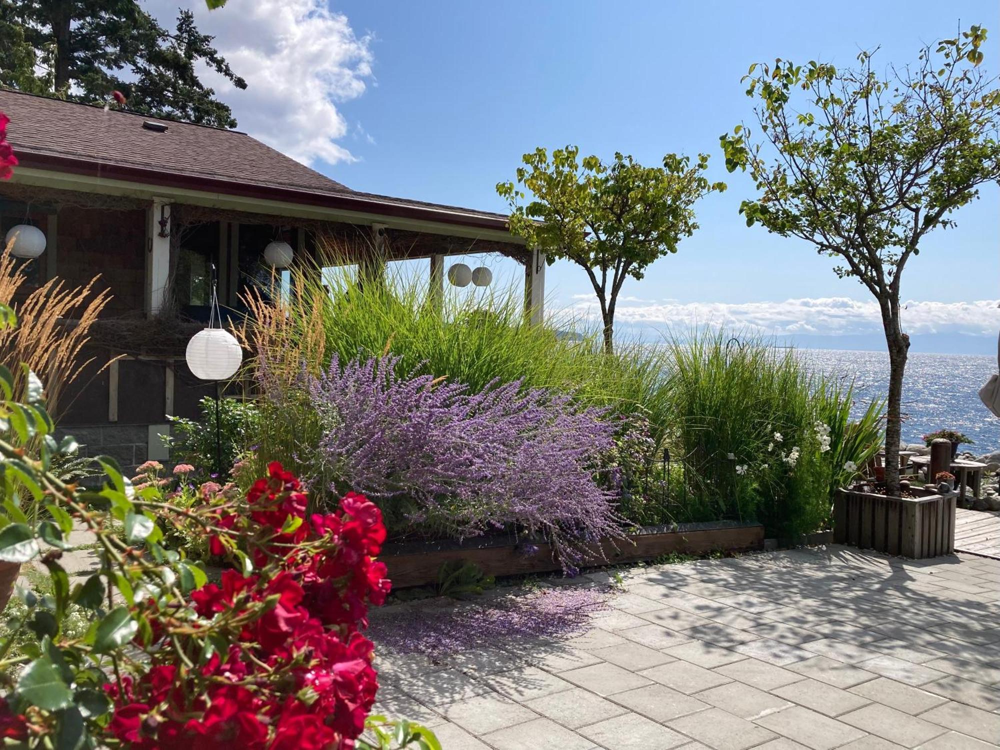 Blitz Beach House Oceanside Suite Powell River Eksteriør billede