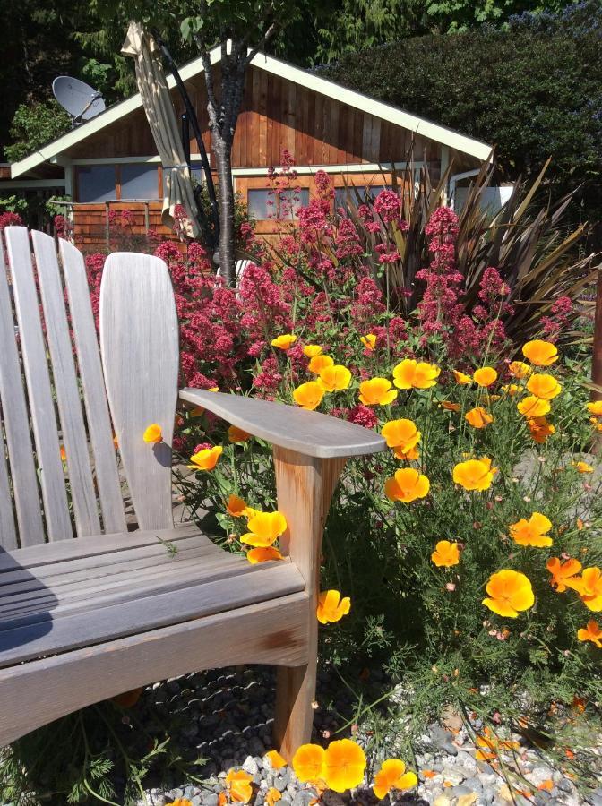 Blitz Beach House Oceanside Suite Powell River Eksteriør billede